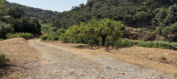  قطعة أرض في Estepona, Spain 13391متر مربع رقم 147718 16