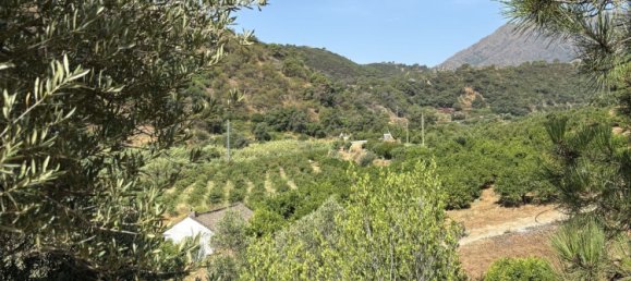  قطعة أرض في Estepona, Spain 13391متر مربع رقم 147718 8