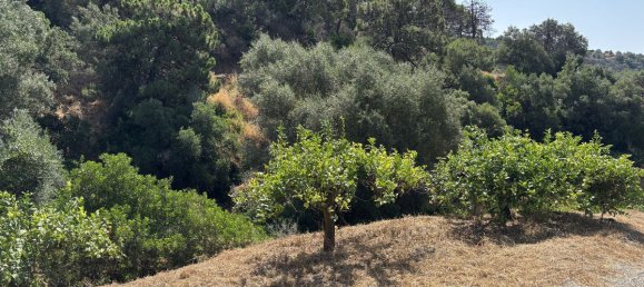  قطعة أرض في Estepona, Spain 13391متر مربع رقم 147718 18