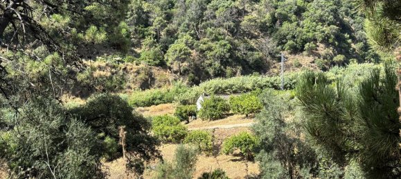  قطعة أرض في Estepona, Spain 13391متر مربع رقم 147718 5