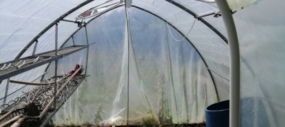 Casa T4 em Dillingen an der Donau, Germany N.º 226591 27