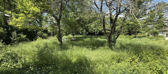 5 rooms House in Baden, Austria No. 175014 4