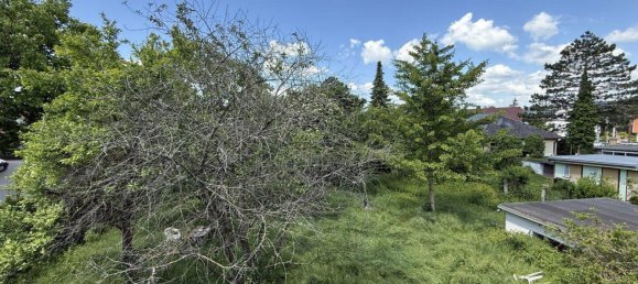 5 rooms House in Baden, Austria No. 175014 5