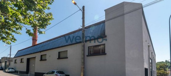 3 غرف نوم عقار تجاري في Castres, France رقم 305359 7