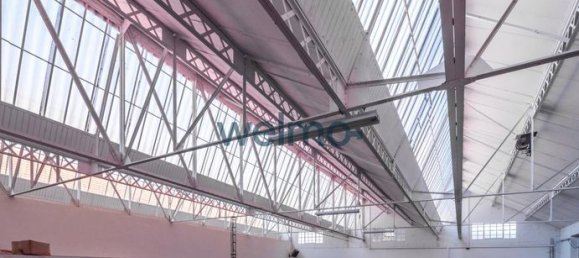 3 غرف نوم عقار تجاري في Castres, France رقم 305359 5