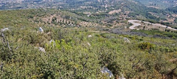  Land in Zakynthos, Greece No. 529 9