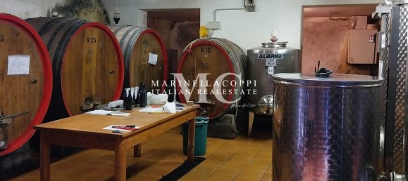 7 bedrooms House in Castellina in Chianti, Italy No. 264799 10