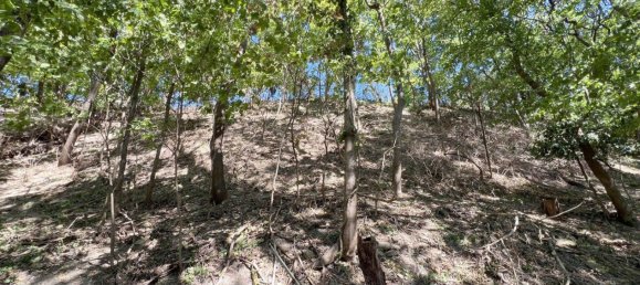 Land in Klosterneuburg, Austria No. 30658 8