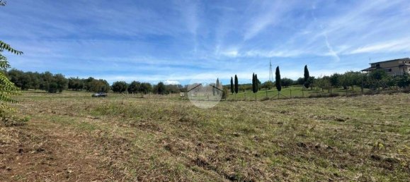 20900m² Land in Montelibretti, Italy No. 336829 6