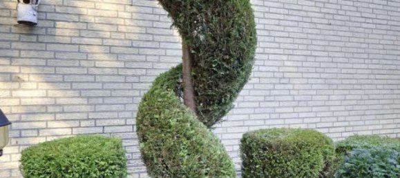 Bungalow T3 em Duisburg, Germany N.º 271612 11