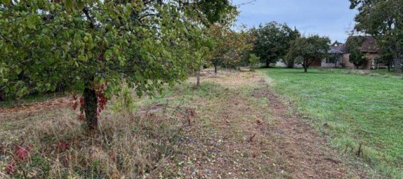 3 rooms House in Neusiedl an der Zaya, Austria No. 207886 2