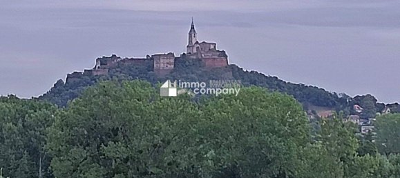 Дом с 4 комнатами в Гюссинг, Австрия № 165055 9