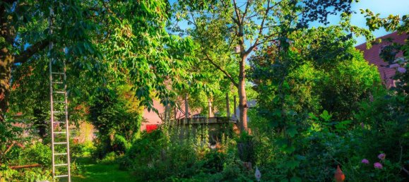 5 rooms Farm in Minden-Lubbecke, Germany No. 348233 6