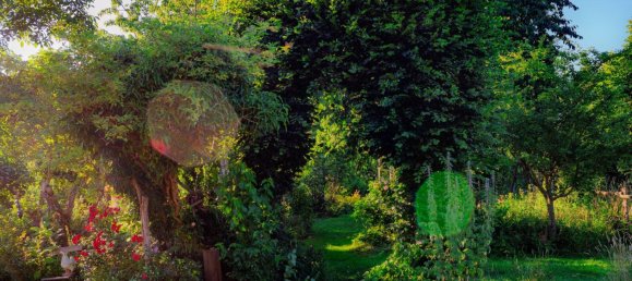 5 rooms Farm in Minden-Lubbecke, Germany No. 348233 8