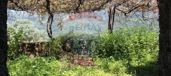 4 bedrooms House in Carvalheira, Portugal No. 185923 7