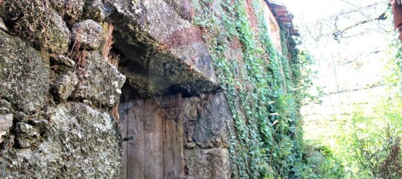 4 bedrooms House in Carvalheira, Portugal No. 185923 15