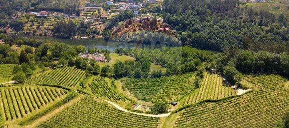 9 bedrooms Castles in Marco de Canaveses, Portugal No. 56814 5