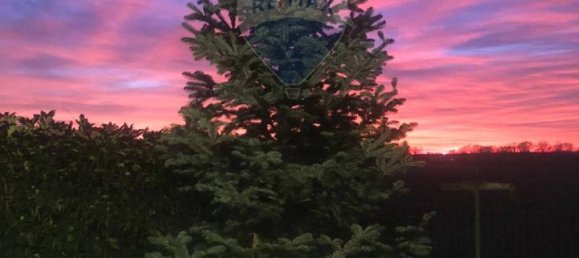 2 rooms Apartment in Travacò Siccomario, Italy No. 7342 8