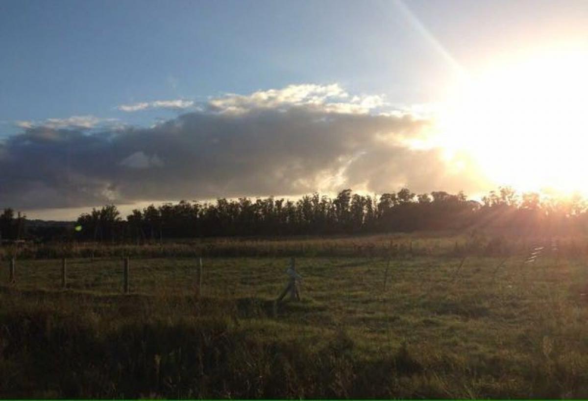 Terrain à Maldonado, Uruguay No. 15338
