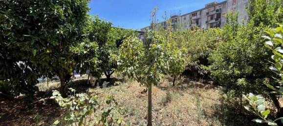 6-Zimmer Doppelhaus in Catania, Italy, Nr. 303772 4