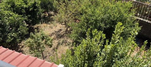 6-Zimmer Doppelhaus in Catania, Italy, Nr. 303772 6