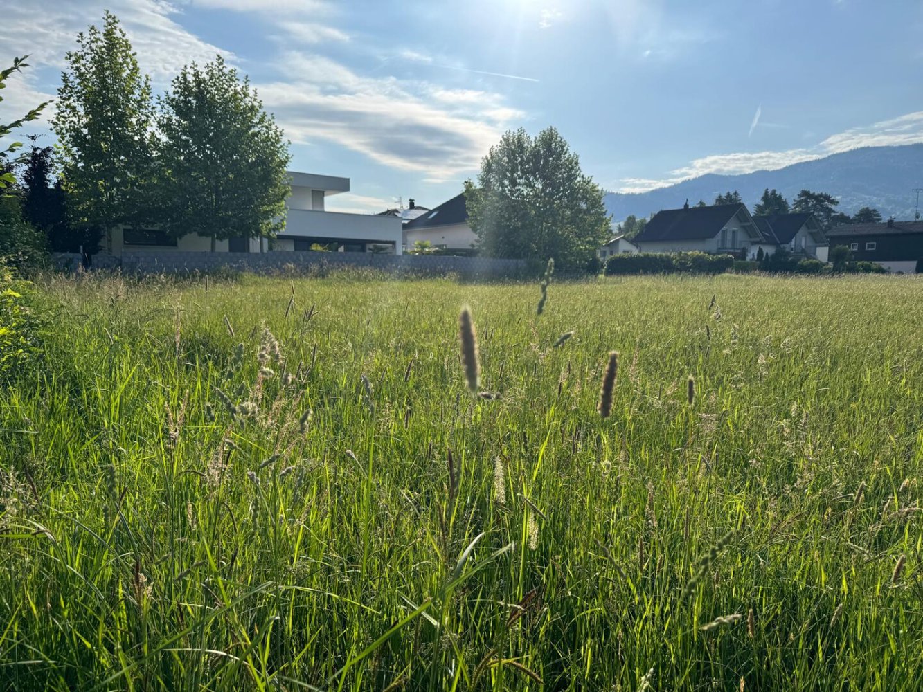 Земельный участок в Дорнбирн, Австрия № 145313