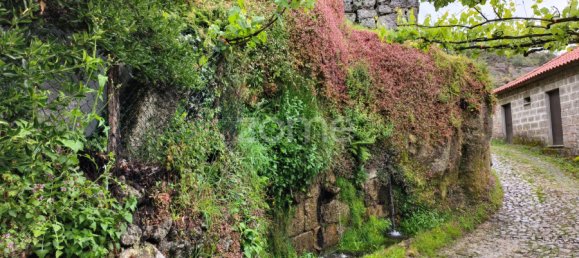  قطعة أرض في Terras de Bouro, Portugal 25متر مربع رقم 173126 6