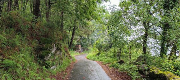  قطعة أرض في Terras de Bouro, Portugal 25متر مربع رقم 173126 11