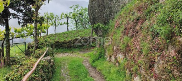  قطعة أرض في Terras de Bouro, Portugal 25متر مربع رقم 173126 5