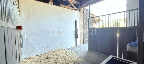 5-Zimmer Bauernhof in Nienburg, Germany, Nr. 267661 20