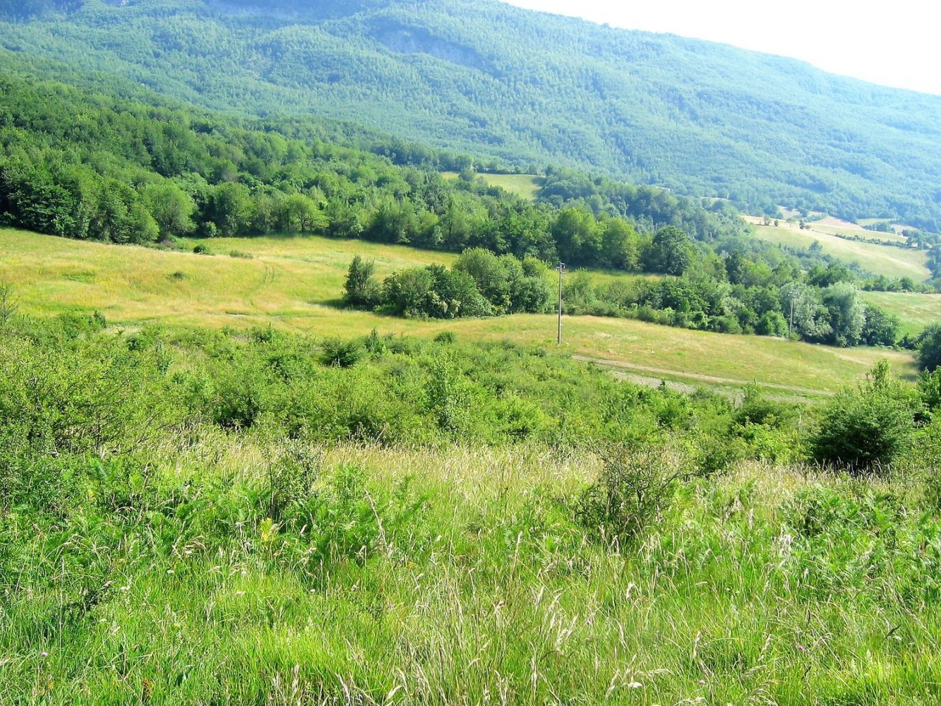 280000m² Land in Ventasso, Italy No. 253908