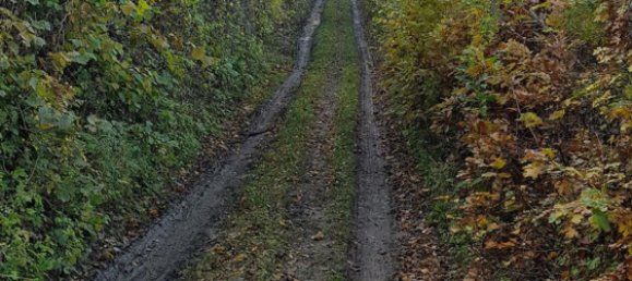 280000m² Land in Ventasso, Italy No. 253908 7