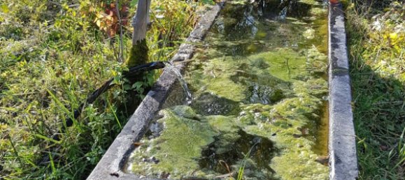 280000m² Land in Ventasso, Italy No. 253908 5