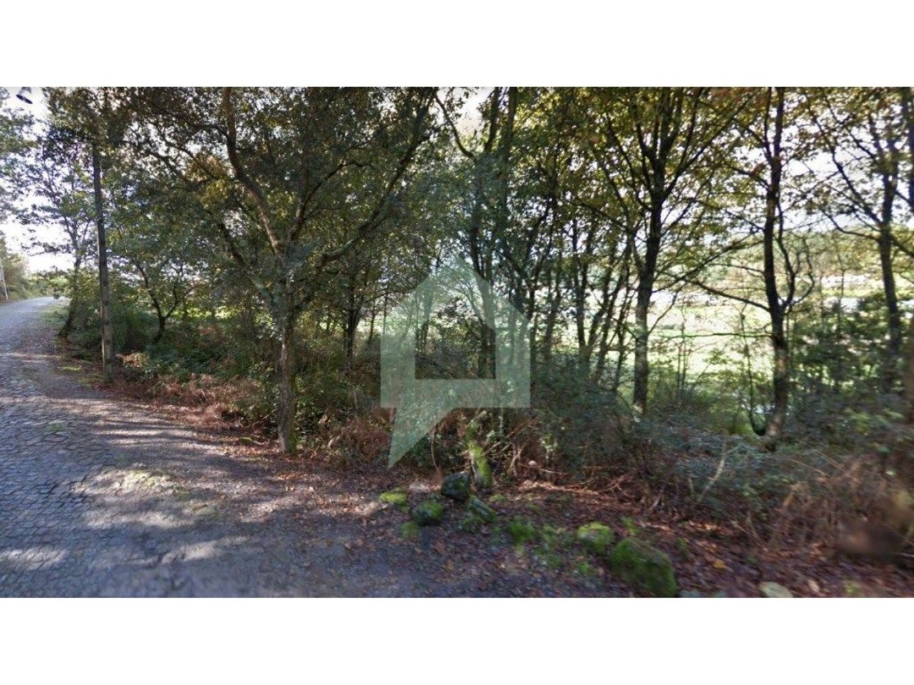 2000m² Land in Barcelos, Portugal No. 48448