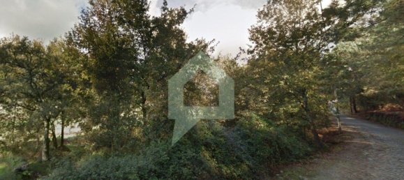 2000m² Land in Barcelos, Portugal No. 48448 6