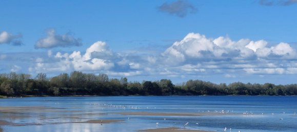 Terreno en Nordwestmecklenburg, Germany No. 263778 15