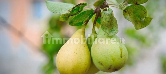 2 bedrooms House in Miglianico, Italy No. 250954 4