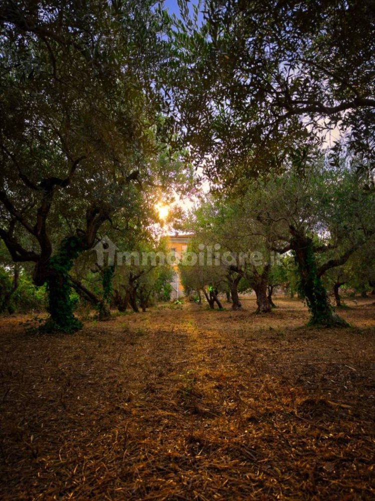 2 bedrooms House in Miglianico, Italy No. 250954