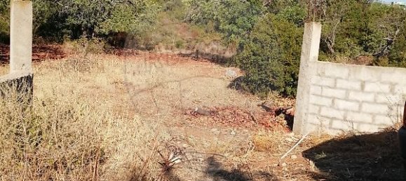 4100m² Land in Loule, Portugal No. 38984 5