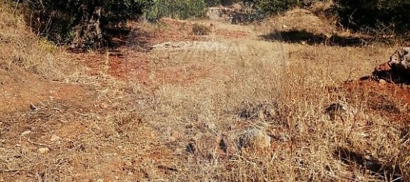 4100m² Land in Loule, Portugal No. 38984 2