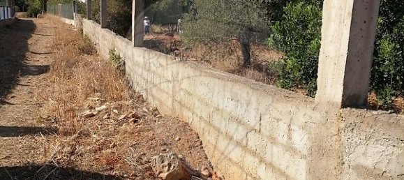 4100m² Land in Loule, Portugal No. 38984 4