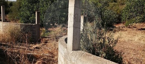 4100m² Land in Loule, Portugal No. 38984 3