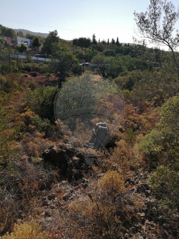 4100m² Land in Loule, Portugal No. 38984