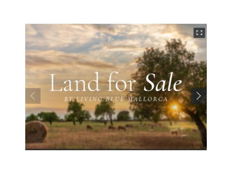 29150m² Land in Manacor, Spain No. 167500
