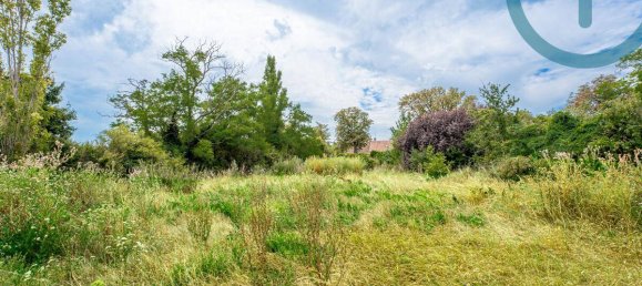 3306m² Land in Eisenstadt Umgebung, Austria No. 164875 6