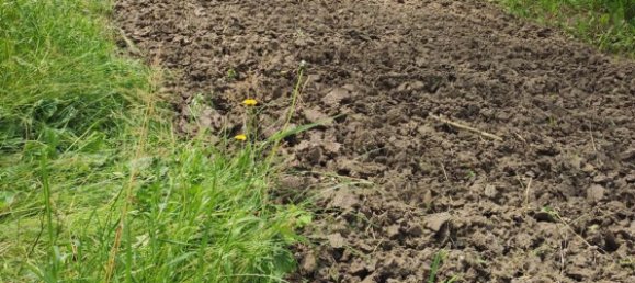 5 rooms House in Colorno, Italy No. 131178 27