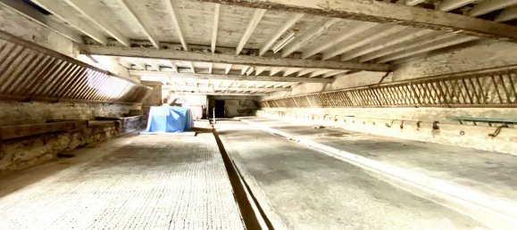 5 bedrooms House in Saint-Jean-d'Angely, France No. 277436 10