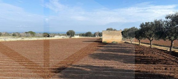 1 room Land in Polignano a Mare, Italy No. 17163 14