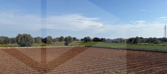 1 room Land in Polignano a Mare, Italy No. 17163 21