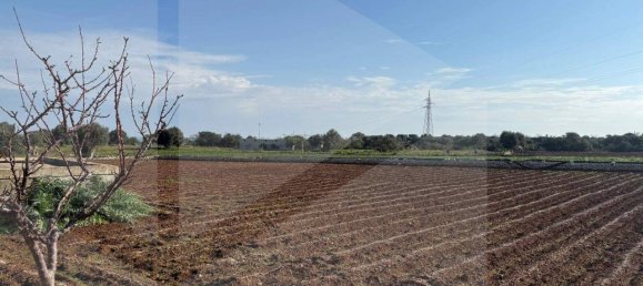 1 room Land in Polignano a Mare, Italy No. 17163 30